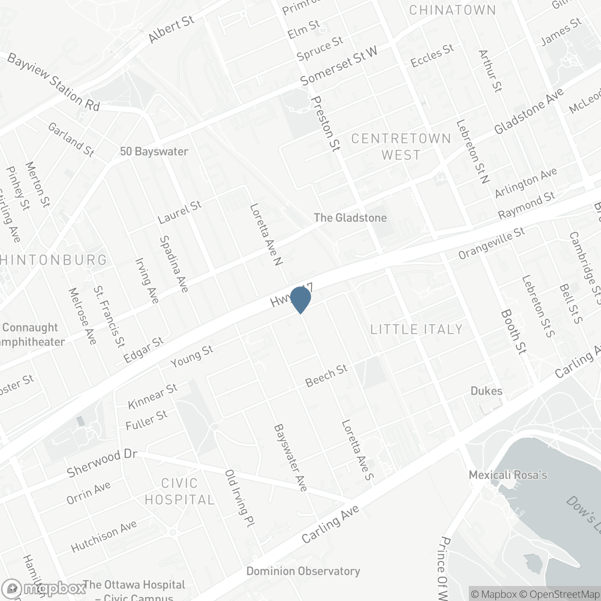 63F YOUNG STREET, Ottawa, Ontario K1S 5T5